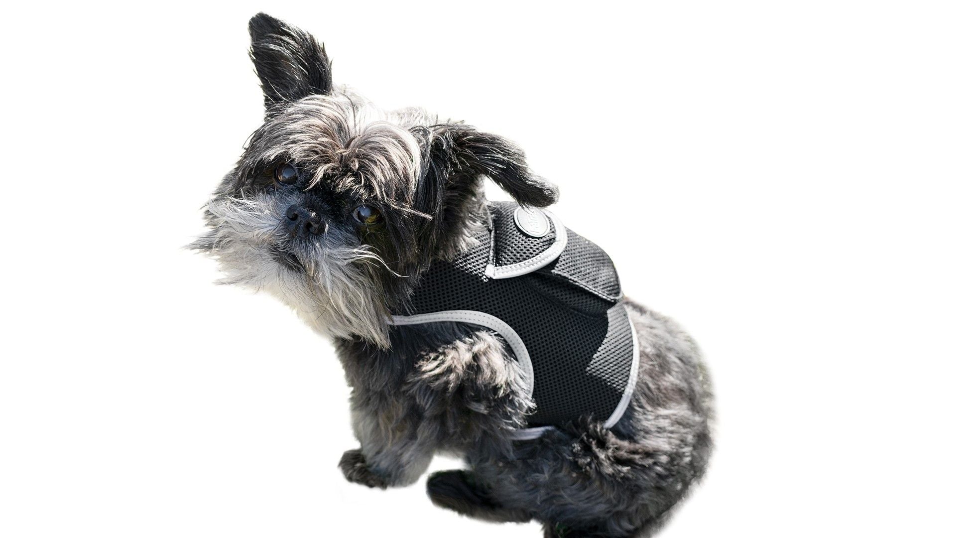 540866931