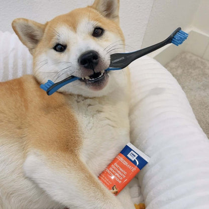 540770881