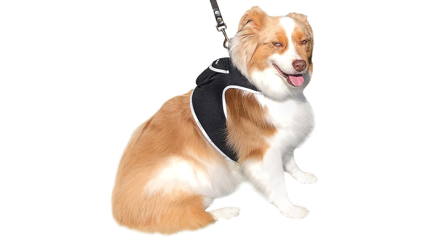 540868911